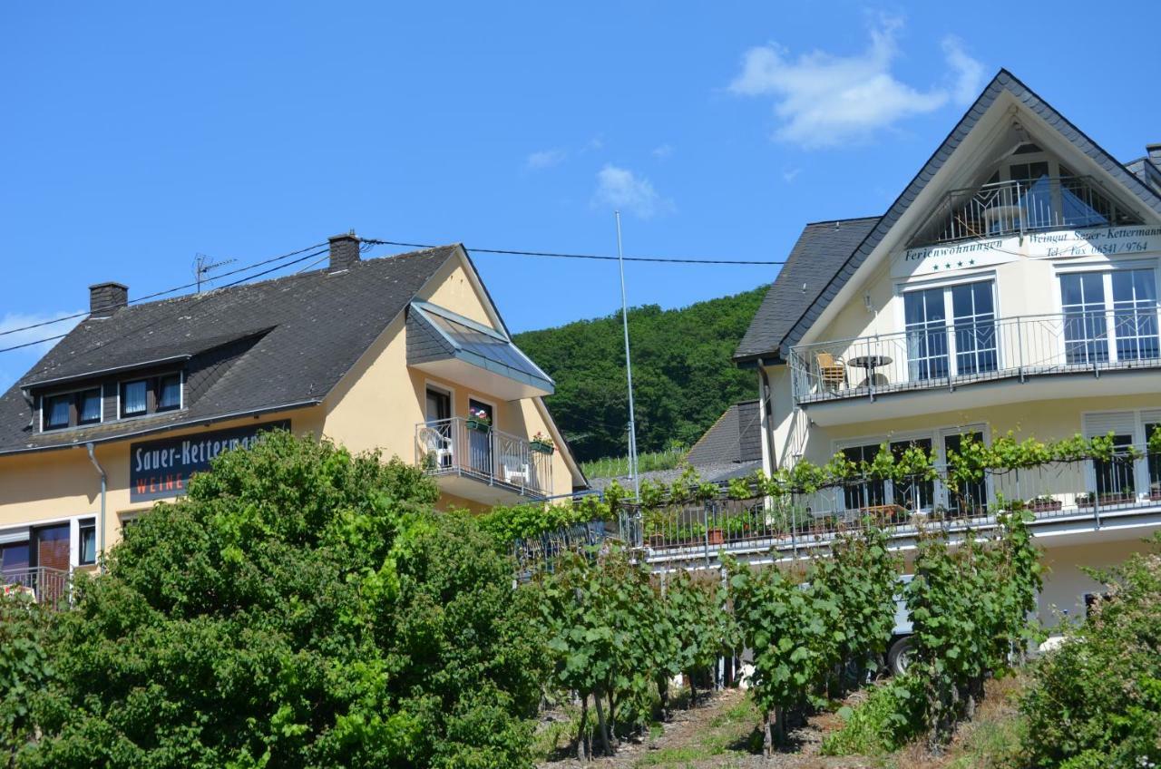 Вилла Weingut Sauer-Kettermann Энкирх Экстерьер фото