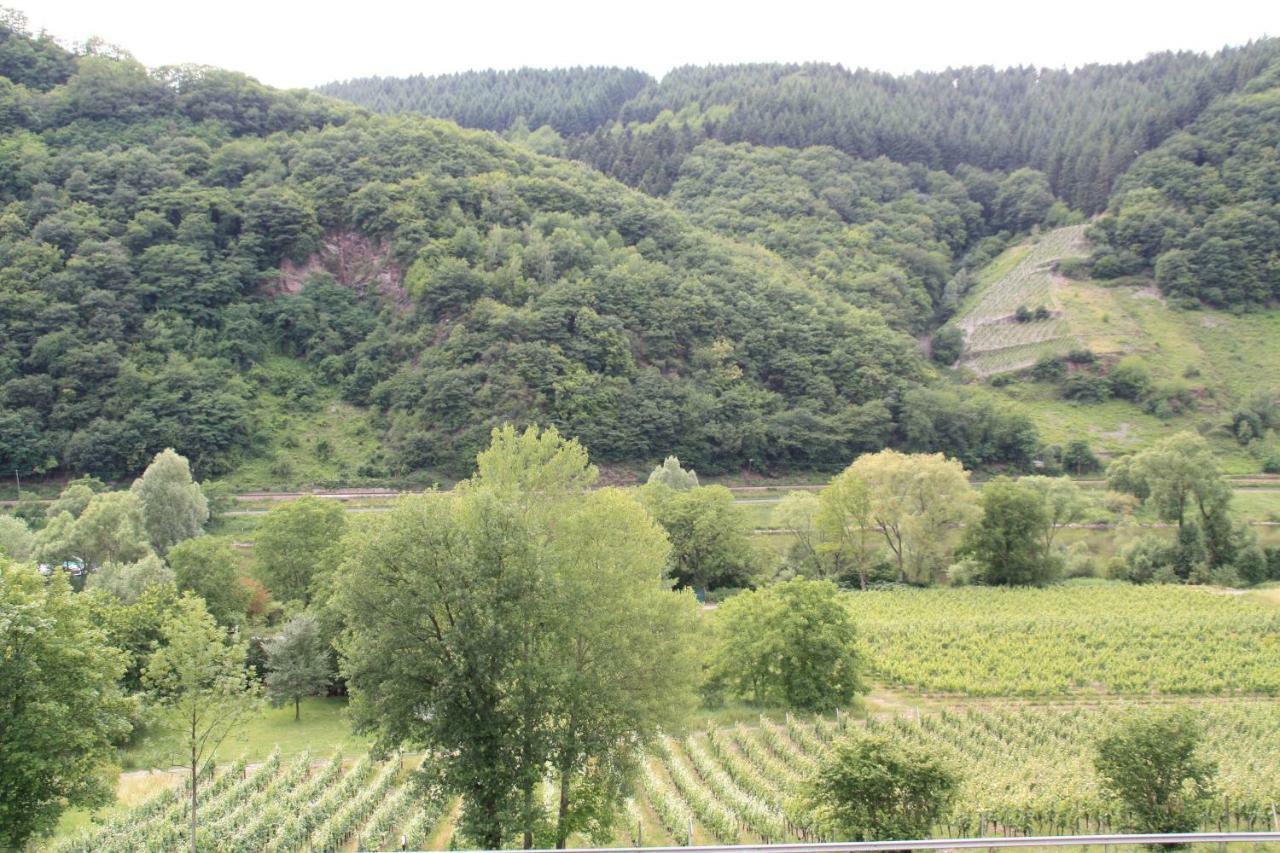 Вилла Weingut Sauer-Kettermann Энкирх Экстерьер фото