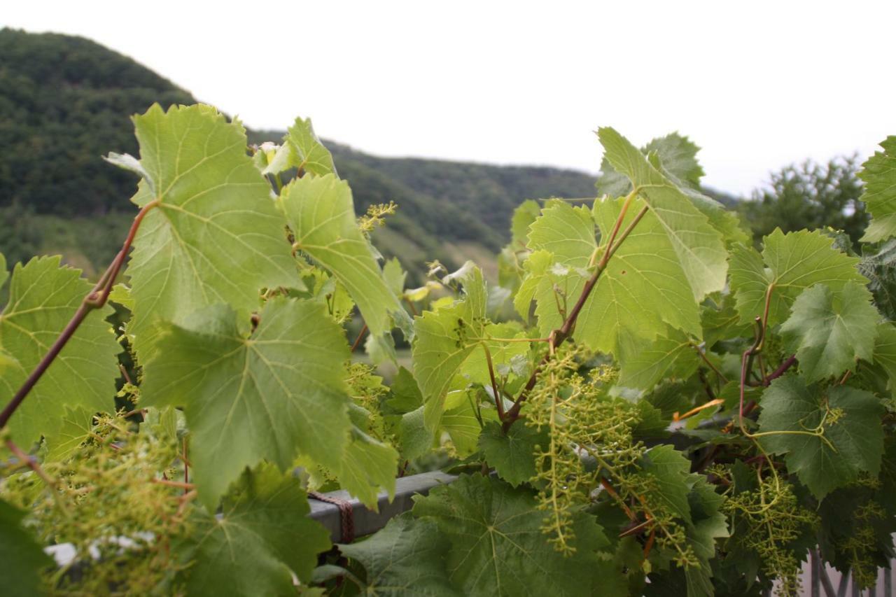 Вилла Weingut Sauer-Kettermann Энкирх Экстерьер фото