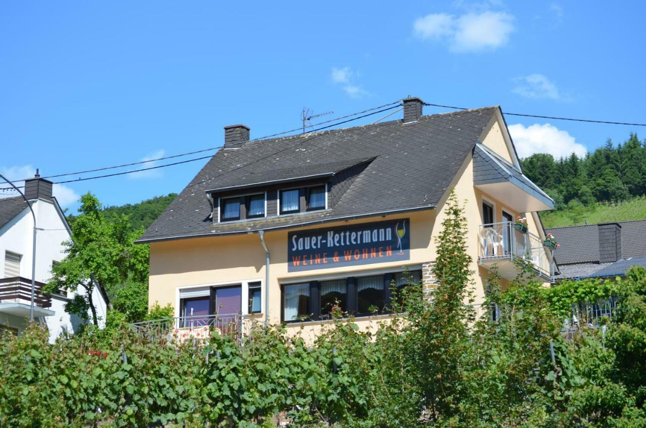 Вилла Weingut Sauer-Kettermann Энкирх Экстерьер фото