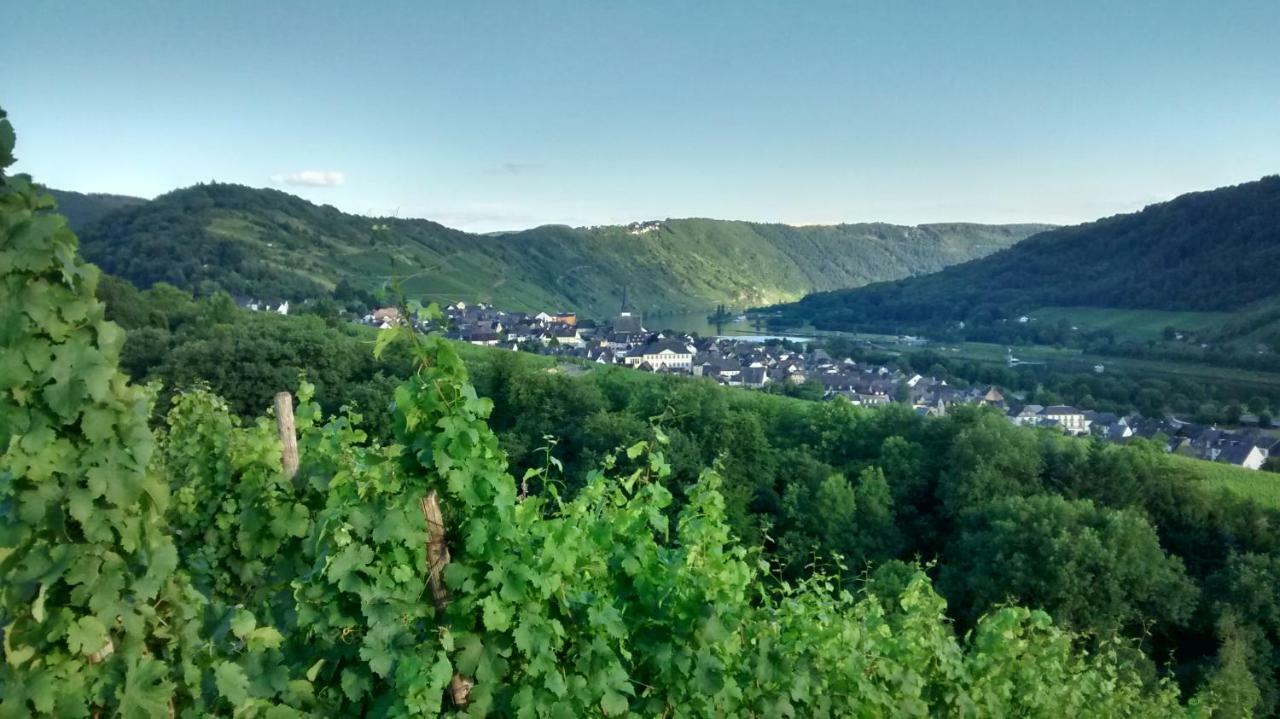 Вилла Weingut Sauer-Kettermann Энкирх Экстерьер фото