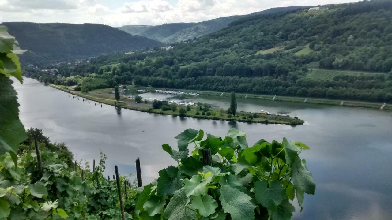 Вилла Weingut Sauer-Kettermann Энкирх Экстерьер фото
