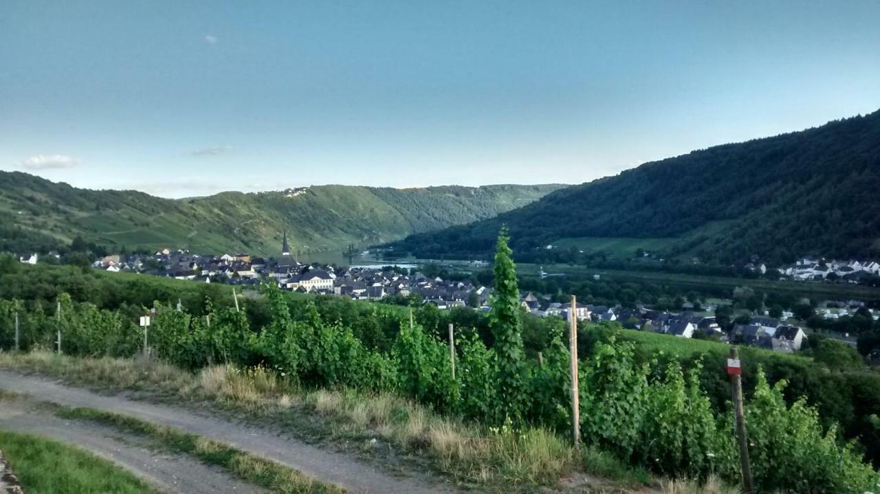 Вилла Weingut Sauer-Kettermann Энкирх Экстерьер фото