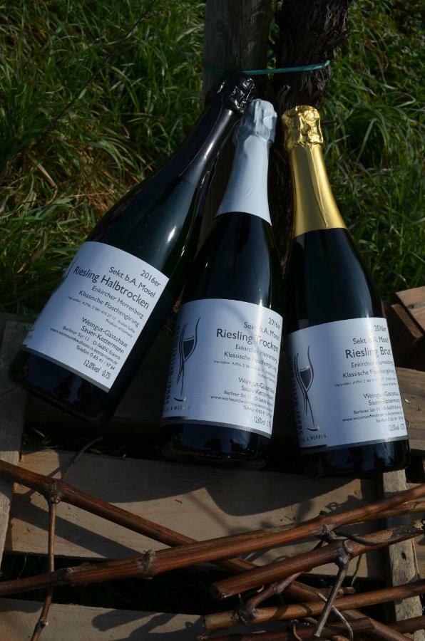 Вилла Weingut Sauer-Kettermann Энкирх Экстерьер фото